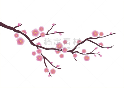 枇杷,花朵,樱桃树,枝,樱花,日本,李子,灌木,剪贴画,花蕾