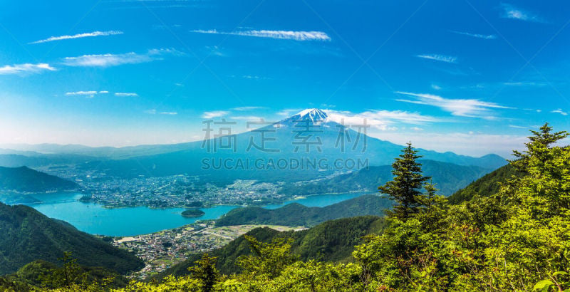 富士山,河口湖,自然,水,旅游目的地,水平画幅,枝繁叶茂,雪,无人,蓝色