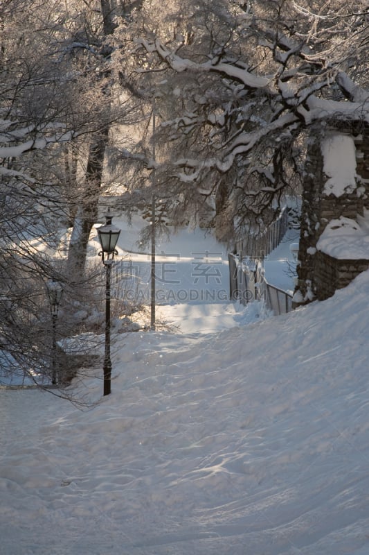 雪,公园,小路,灯笼,哈留省,爱沙尼亚,垂直画幅,冬天,图像,霜