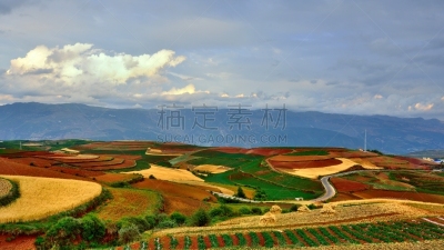 云南省,非凡的,陆地,红色,桨叉架船,拼块地形,梯田,水平画幅,无人,泥土