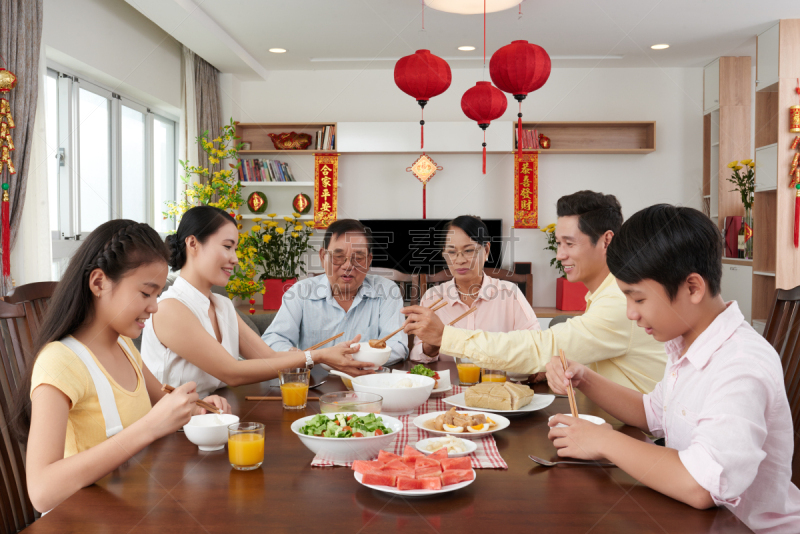 全家福,越南新年,越南人,春节,餐具,水平画幅,家庭生活,开胃酱,母亲,晚餐