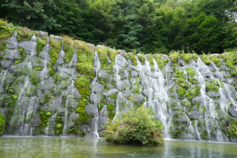 瀑布,森林,shiraito falls,水,留白,水平画幅,枝繁叶茂,无人,夏天,户外