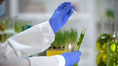 液体,实验室,美容院,装管,有机食品,植物,助手,水滴,房室传导系统
