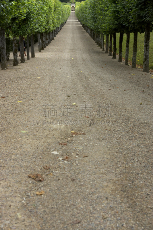 园林,沙砾,维朗德里城堡,林荫大道,痕迹,维朗德里,特拉华,垂直画幅,无人,偏远的