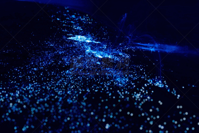 生物发光,浮游生物,马尔代夫,夜晚,自然,led灯,光亮,图像,海洋,印度洋