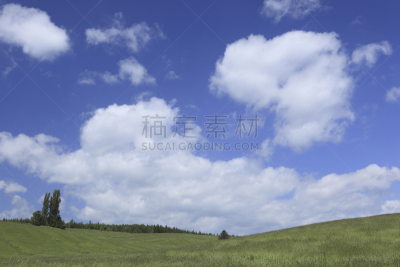 草,自然,天空,高原,水平画幅,云,地形,山,富良野盆地,无人