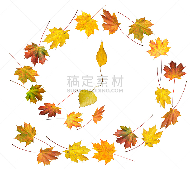 时间,秋天,留白,褐色,水平画幅,形状,枝繁叶茂,无人,组物体,钟