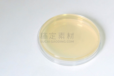 细菌,盘子,医学检测,餐具,风,生物科技,水平画幅,微生物学,无人,科学