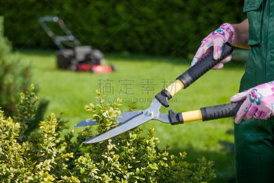 园林,青年女人,修枝刀,园艺剪刀,操作指南,修枝夹,爱沙尼亚,草坪,夏天,四季
