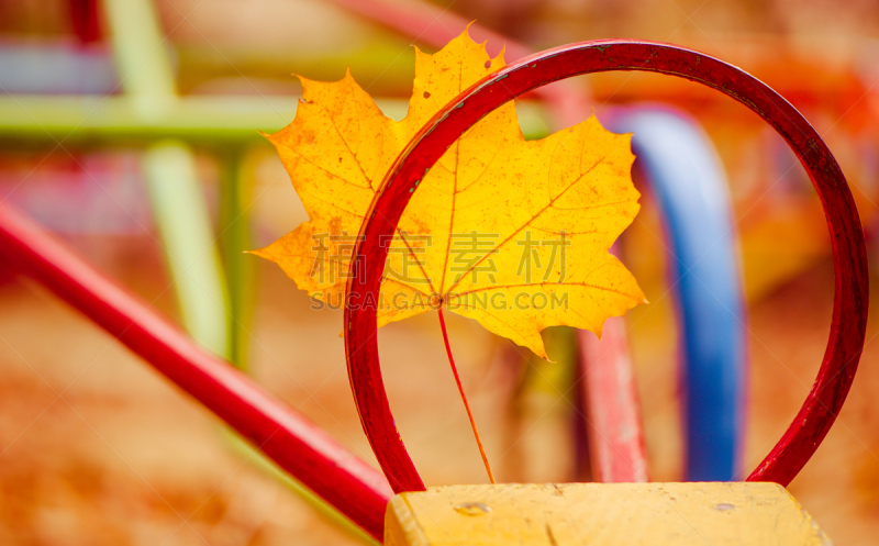 叶子,游乐场,美,水平画幅,无人,户外,特写,阶调图片,植物,大特写