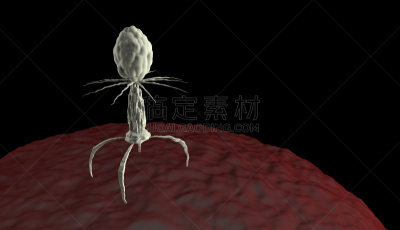 病毒,人体细胞,生物学,微生物学,显微镜,健康保健,科技,药,纳米技术,遗传研究