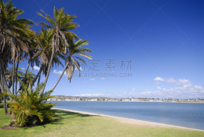 棕榈树,海滩,风景,城市,背面视角,使命湾,圣地亚哥,水,天空,度假胜地