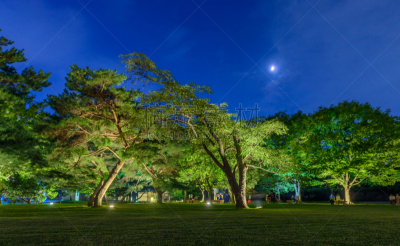 夜晚,自然美,派克大街,自然,水平画幅,地形,无人,路,夏天,户外