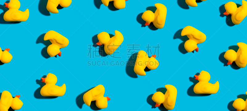 橡皮鸭子,黄色,可爱的,商务,主观视角,多样,塑胶,玩具,简单,动物
