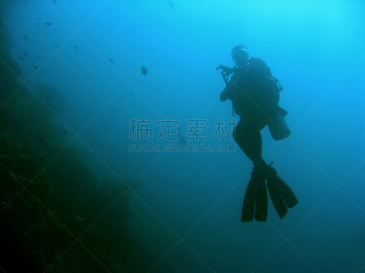 水肺潜水,诗巴丹岛,同意的手势,水,沙巴州,水下,旅行者,马来西亚,仅成年人,运动