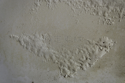 湿,毛细血管床,霉病,地衣,水平画幅,墙,建筑,无人,建筑结构,室内