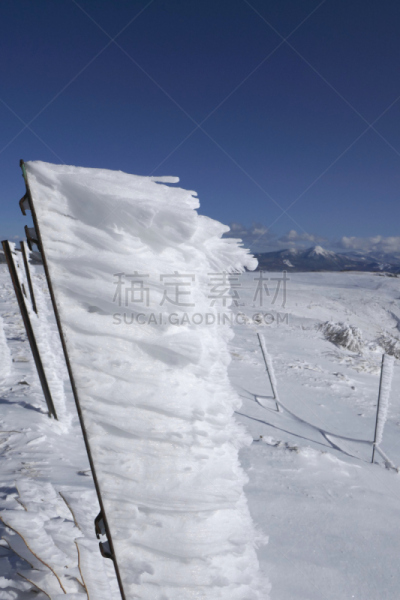 白色,冬天,地球,国内著名景点,寒冷,旅途,安静,美原,长野县,背心