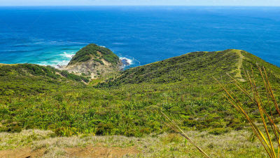 cape reinga,西兰岛,新的,自然,图像,新西兰北岛,新西兰,无人,户外,九十英里海滩
