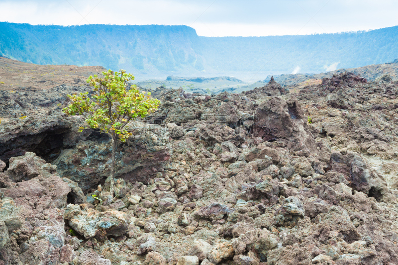 火山口,室内地面,桃金娘花树,几劳亚活火山,硫磺,在底端,夏威夷大岛,风管,火山喷口,天空