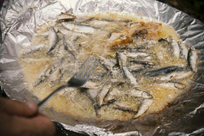 鱼类,小的,毛鳞鱼,餐具,水平画幅,膳食,海产,锅,肉,晚餐
