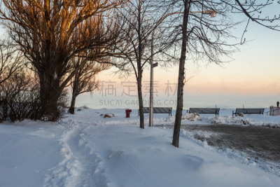 雪,都市风光,平衡折角灯,贫瘠的,寒冷,安静,曙暮光,环境,黄昏,霜