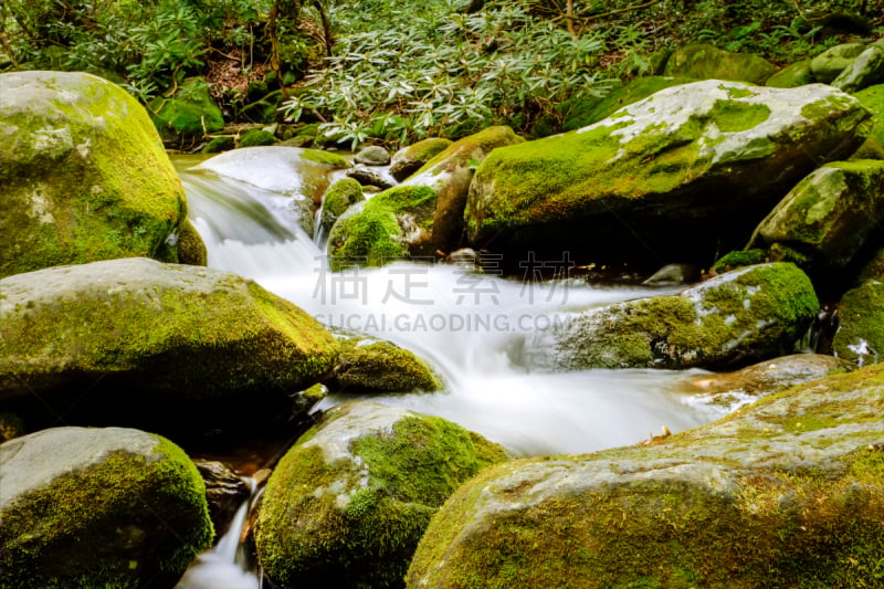 river roaring fork,格托林伯格,阿巴拉契亚山间栈道,大烟雾山脉,田纳西,阿巴拉契亚山脉,水,水平画幅,枝繁叶茂,瀑布