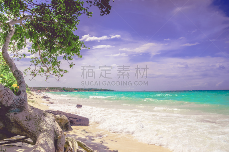 卡塔赫纳,哥伦比亚,岛,海滩,普拉亚布兰卡,巴卢韦利,普里什蒂纳,代顿海滩,不来顿和荷甫,旅行者锦标赛