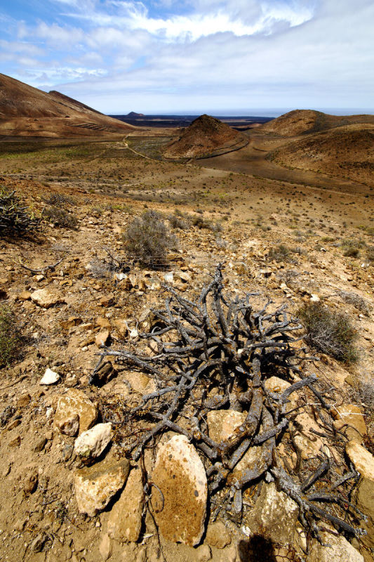 兰萨罗特岛,植物,西班牙,timanfaya national park,盐滩,垂直画幅,天空,公园,洞,山