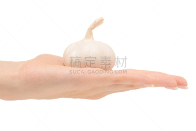 大蒜,女性,手牵手,素食,古老的,营养品,仅成年人,工业,农作物,青年人