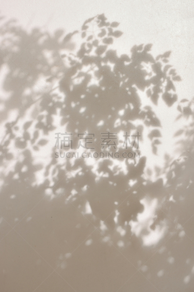 墙,阴影,涂料,叶子,自然,垂直画幅,太空,褐色,无人,古老的