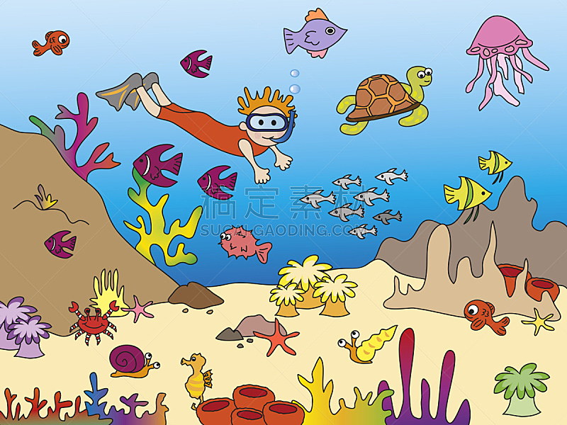 海洋生命,可爱的,球,华贵,多样,三文鱼,动物,儿童,海底