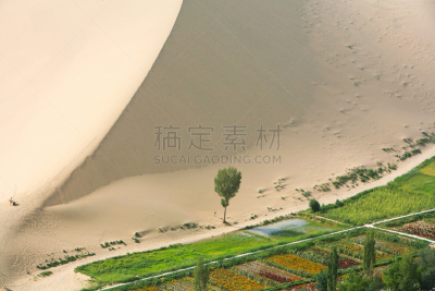敦煌,沙丘,甘肃省,中国,动物嚎叫,莫高窟,月牙泉,丝绸之路,干旱地带,宽的