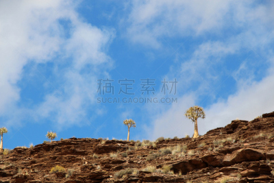 芦荟树木,山,尼湖德维,卡鲁镇,北开普省,天空,宁静,水平画幅,地形,无人