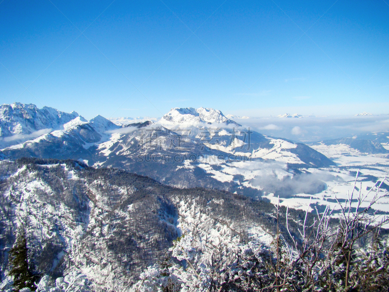 驯养动物,风景,全景,寒冷,云,奥地利,雪,蒂罗尔州,岩石,户外