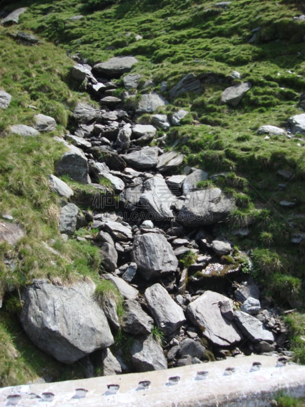 Travel photo from Argeș County, Romania.  Rocks and vegetation .