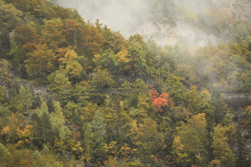 ordesa national park,韦斯卡,阿拉贡,宝丽丝山脉,自然,水平画幅,绿色,地形,无人,全景