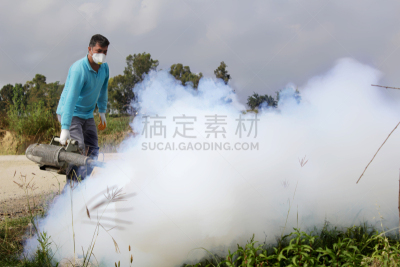 害虫,雾,黑蚊,蚊蝇,疟蚊,登革热,害虫根除者,疟疾,眩晕的,蚊子