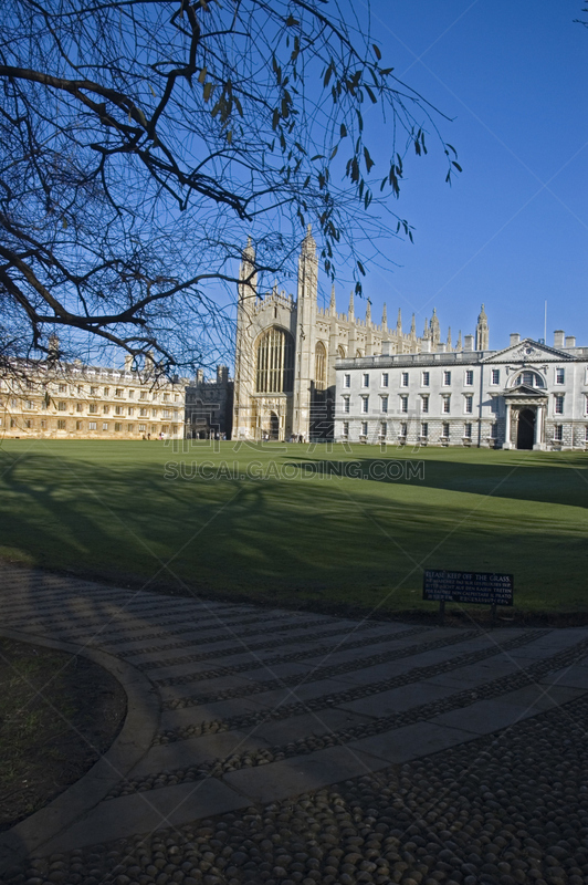 剑桥,剑桥大学,用篙撑船,垂直画幅,古老的,英格兰,旅行者,草,明亮