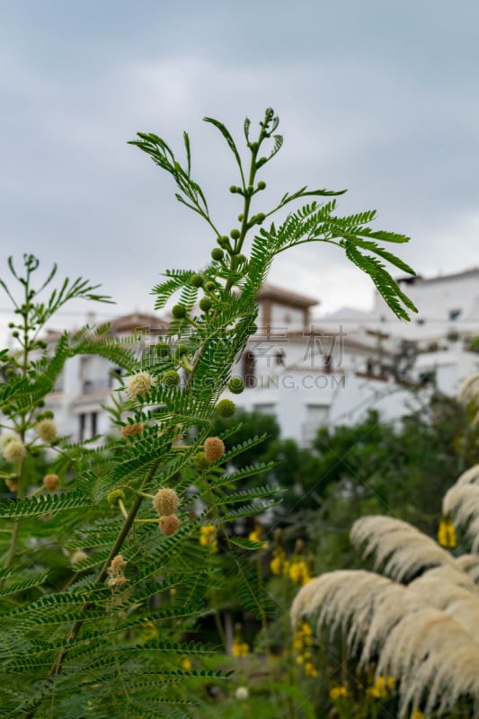 弗里希里亚纳,风景,白色市镇,可爱的,旅途,十月,云,海岸线,户外,天空