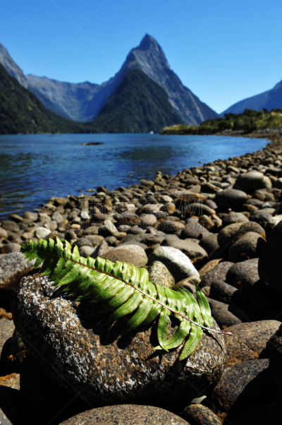 新西兰,峡湾,自然,垂直画幅,milford track,无人,户外,迈特峰,海洋,陆地