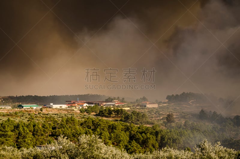 森林火灾,烟,房屋建设,山后地区,火岛国家海岸,橄榄树果园,水平画幅,油橄榄树,无人,户外