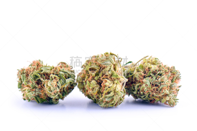 健康保健,药,花蕾,替代疗法,白色背景,分离着色,自然,美国,水平画幅,绿色