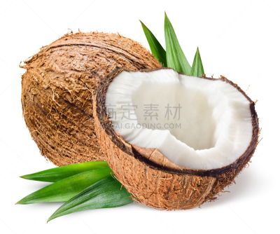 椰子,白色背景,叶子,一半的,矢状,横截面,部分,清新,一个物体,背景分离