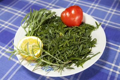 茴香,沙拉,地中海,学位帽,海蓬子属植物,水平画幅,开胃品,传统,生食,膳食