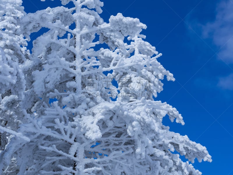 天空,雾凇,背景,海洋,寒冷,水平画幅,巴岳山,雪,长野县,无人