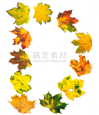 英文字母d,叶子,秋天,枫树,枯萎的,垂直画幅,字母,褐色,干花,符号
