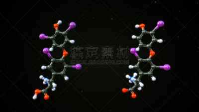 荷尔蒙,甲状腺素,甲状腺机能减退,甲亢,甲状腺,新陈代谢,人类腺体,生物化学,水平画幅,形状