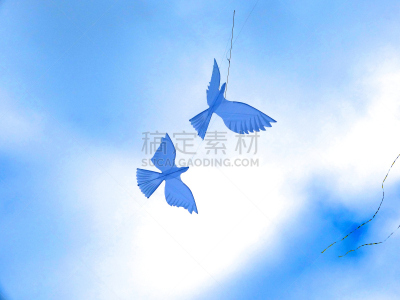 鸟类,风筝,天空,水平画幅,抽象,摄影,飞