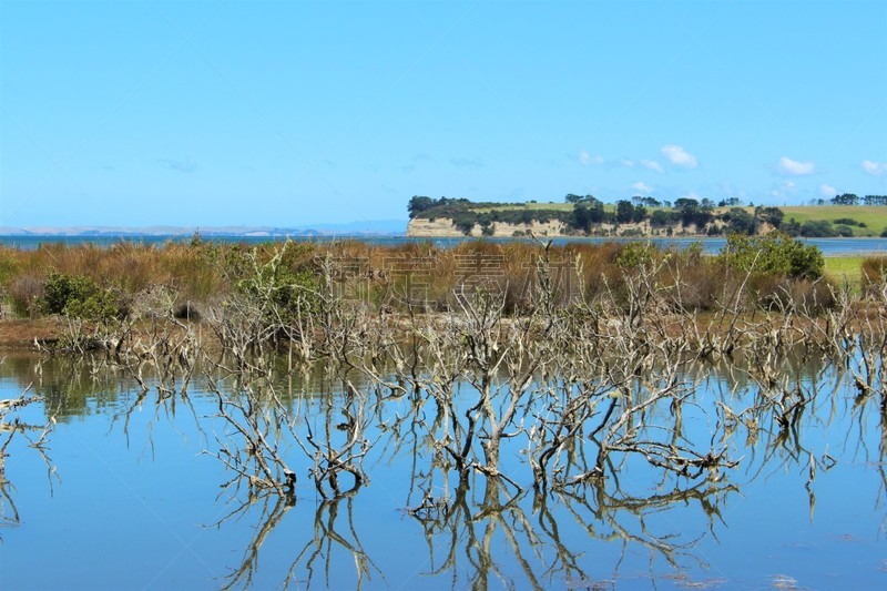 水湾,海洋,看风景,正面视角,水,天空,沙子,奥克兰群岛,平视角,空对空射击