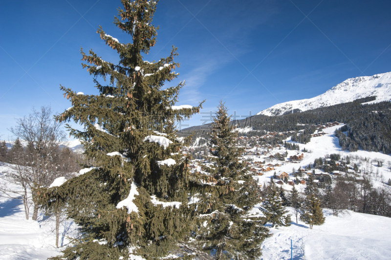 山,雪,松树,全景,在上面,天空,水平画幅,无人,圣诞树